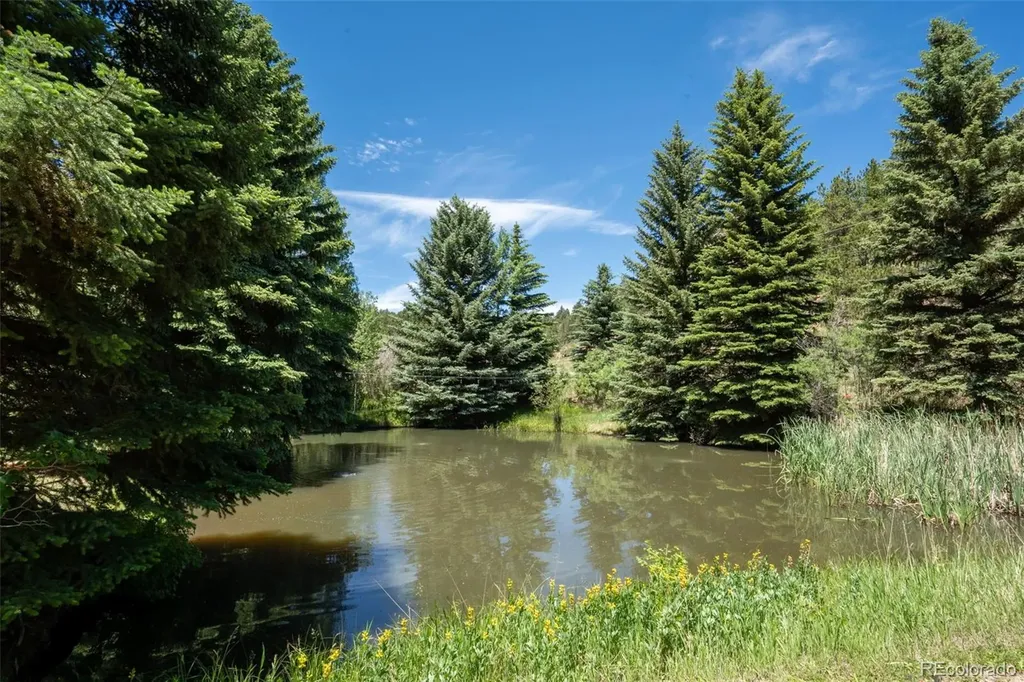 384 Brookside Drive Bailey CO 80421