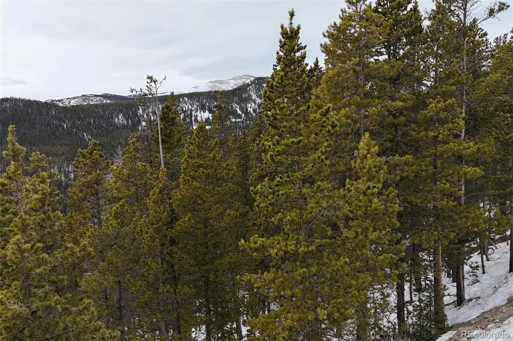 156 Vista Road Idaho Springs CO 80452