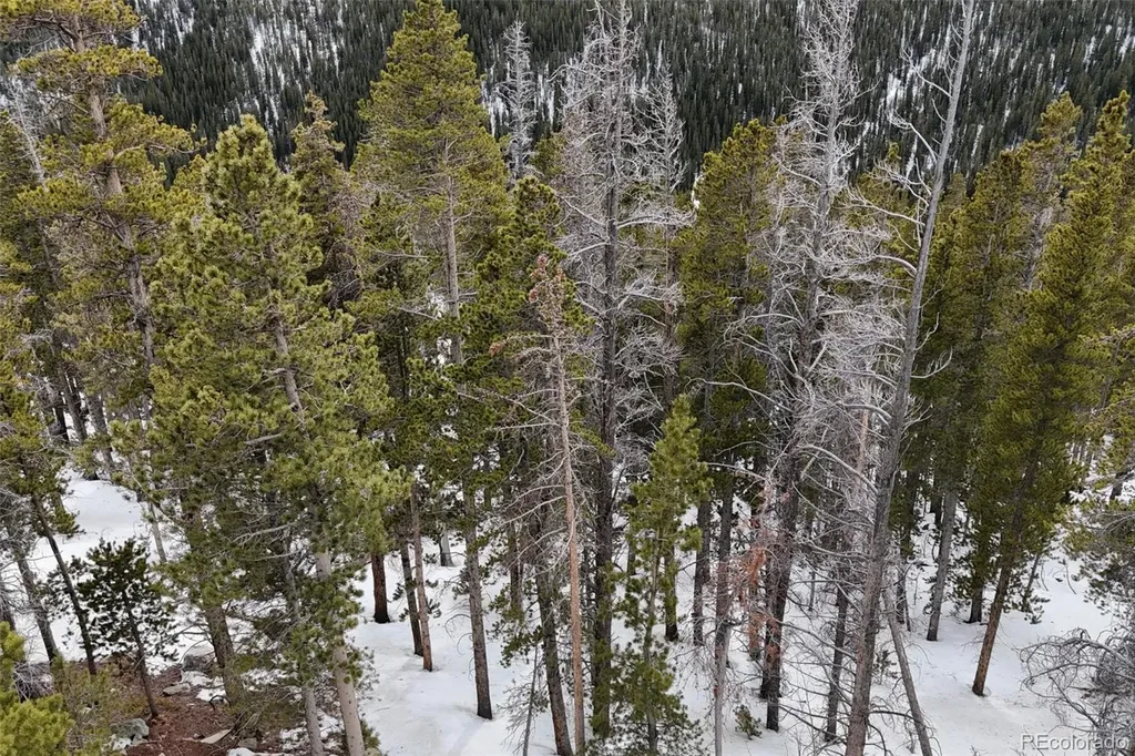 156 Vista Road Idaho Springs CO 80452