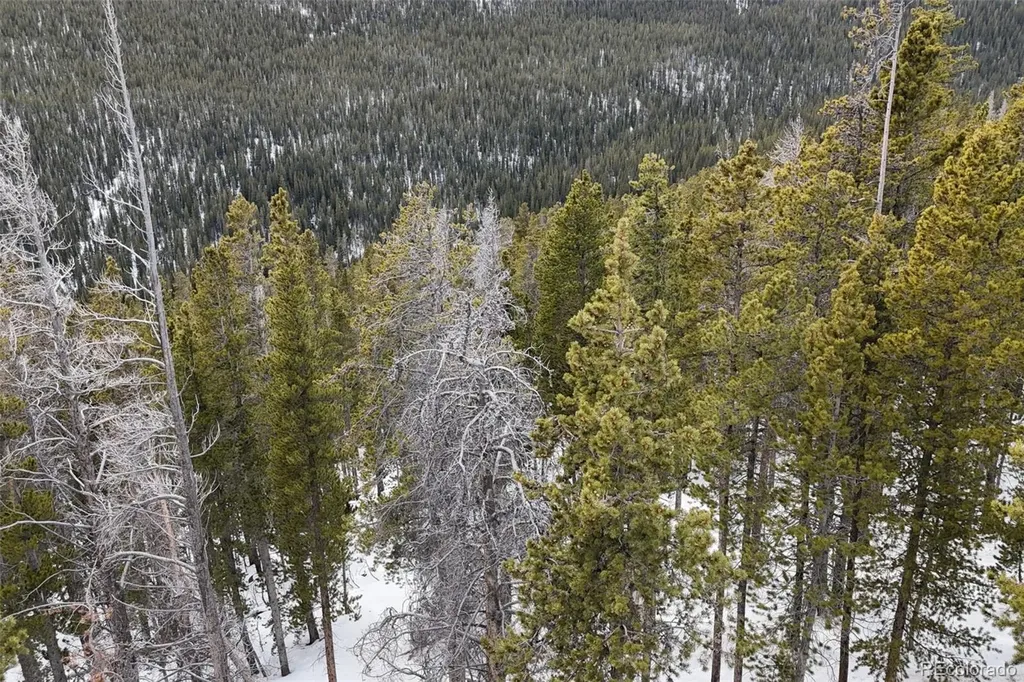 156 Vista Road Idaho Springs CO 80452