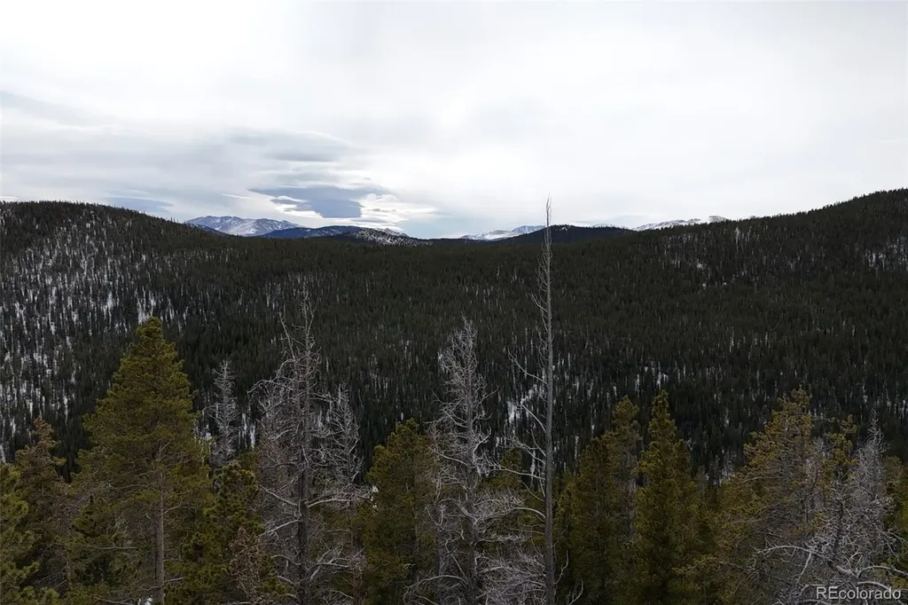 156 Vista Road Idaho Springs CO 80452