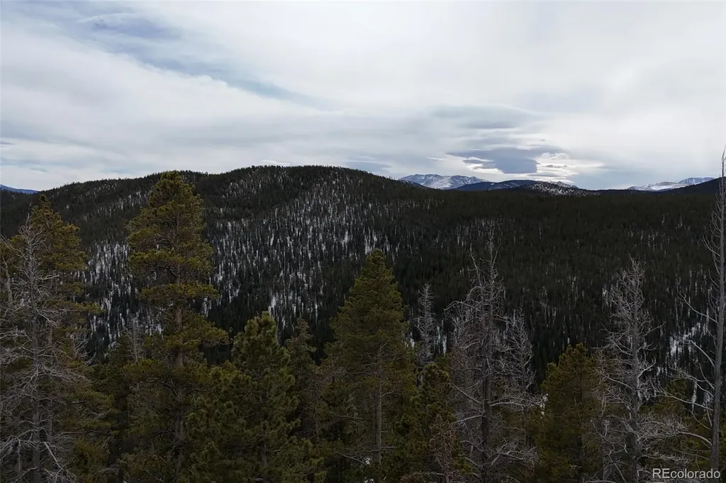 156 Vista Road Idaho Springs CO 80452