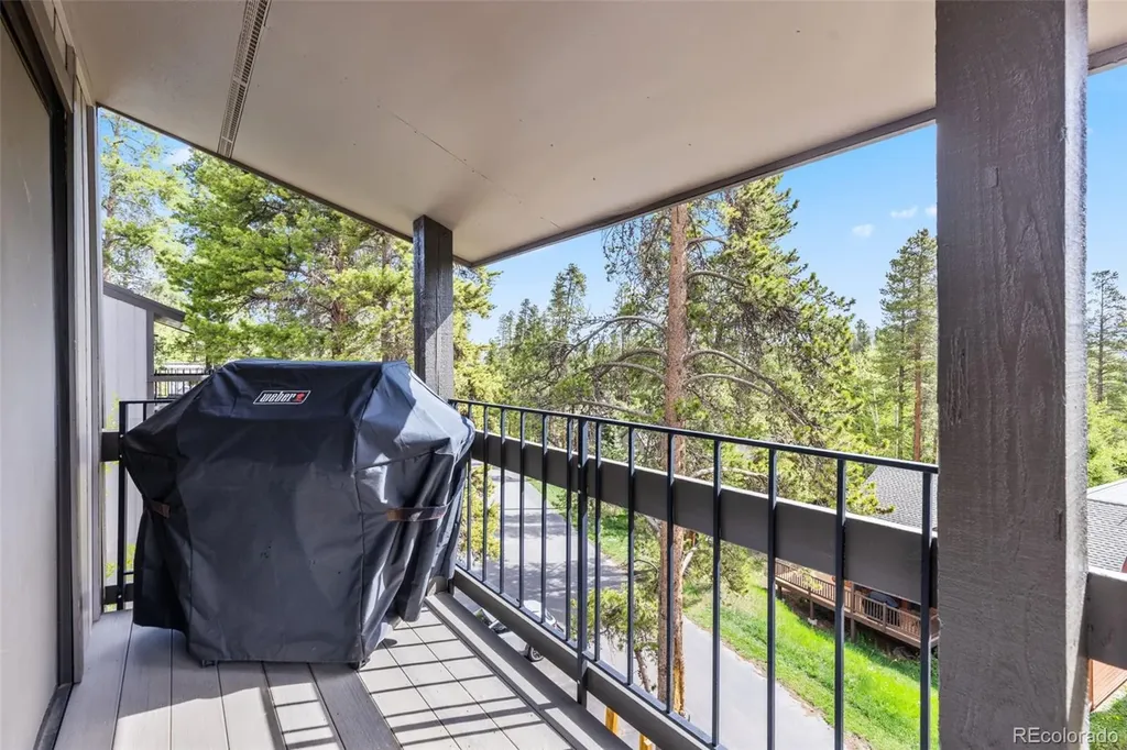1127 Ski Hill Road Breckenridge CO 80424