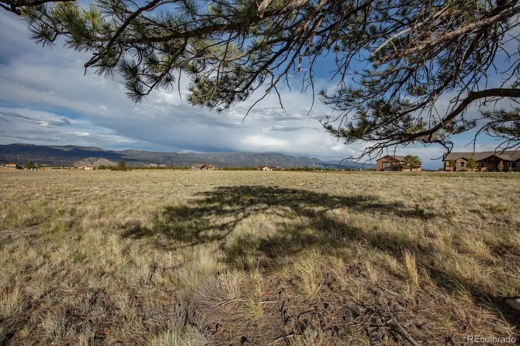 14668 S Stagecoach Lane Buena Vista CO 81211