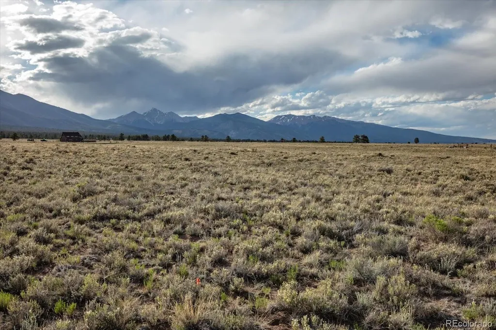 14668 S Stagecoach Lane Buena Vista CO 81211