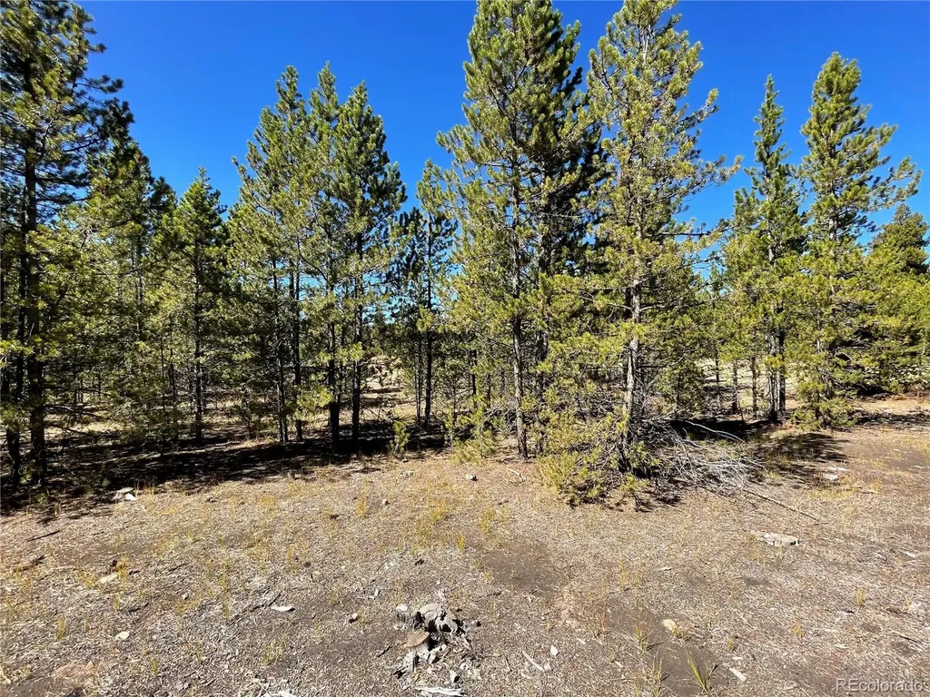 300 Virginia Avenue Leadville CO 80461