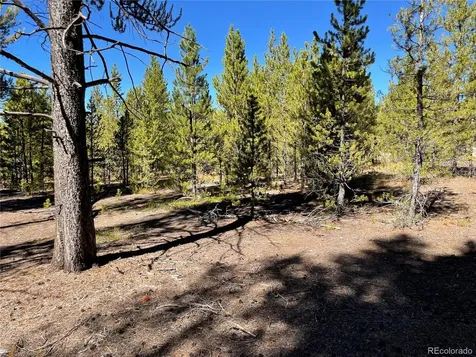 300 Virginia Avenue Leadville CO 80461