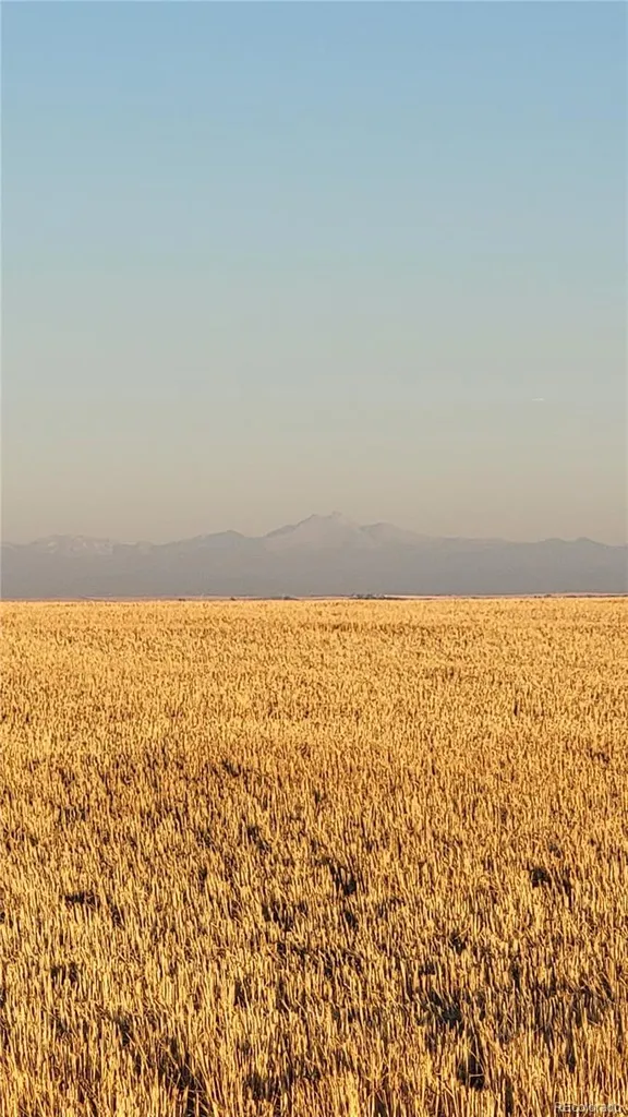 0 County Road 81 Roggen CO 80652