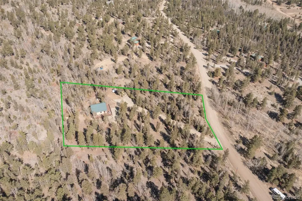 1136 Bellows Road Hartsel CO 80449