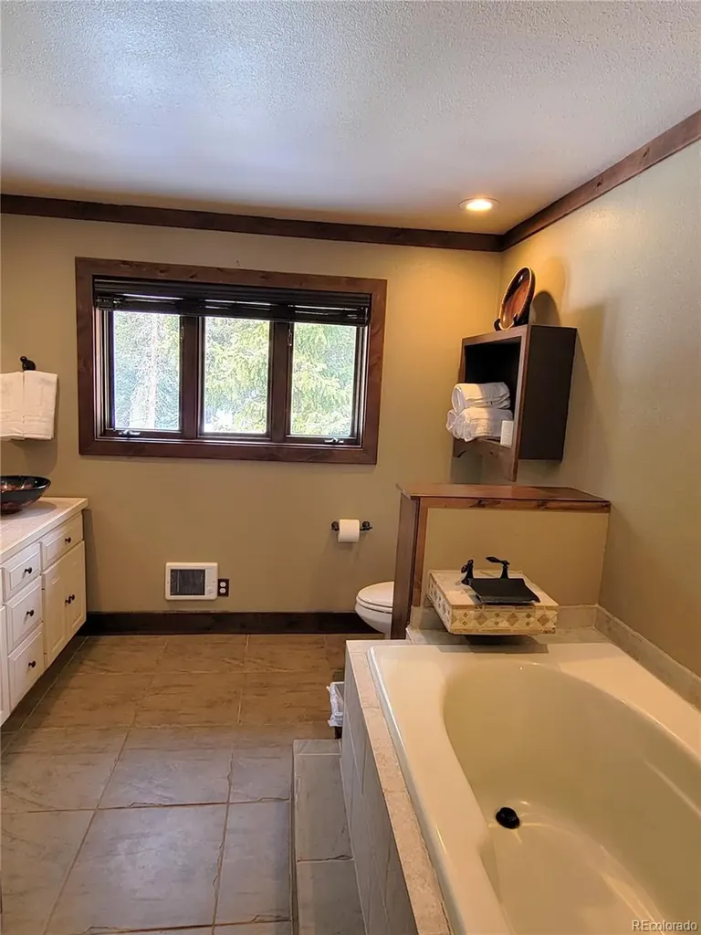 1561 Prunes Place Fairplay CO 80440