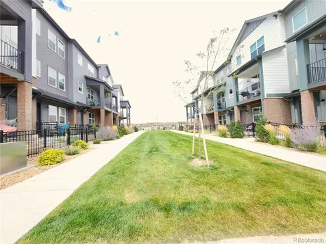 7035 Cumbria Court Castle Pines CO 80108