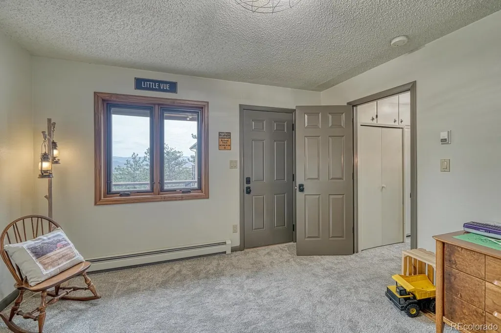 18165 Alta Vista Drive Buena Vista CO 81211