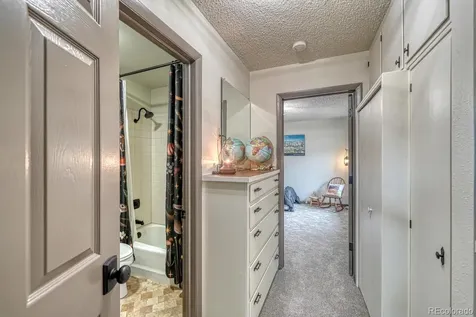 18165 Alta Vista Drive Buena Vista CO 81211