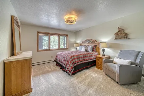 18165 Alta Vista Drive Buena Vista CO 81211