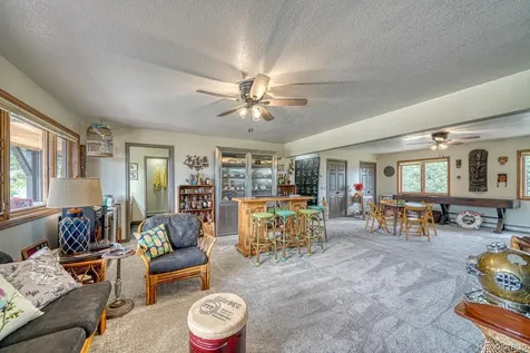 18165 Alta Vista Drive Buena Vista CO 81211