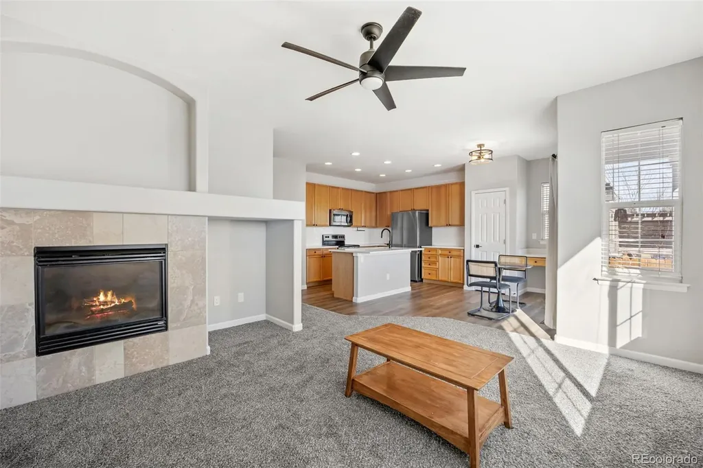164 Apache Plume Street Brighton CO 80601