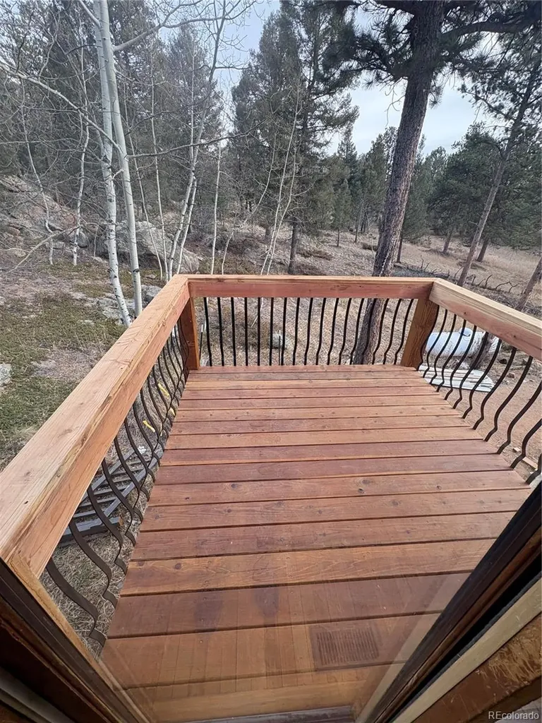 12345 Bear Haven Road Conifer CO 80433