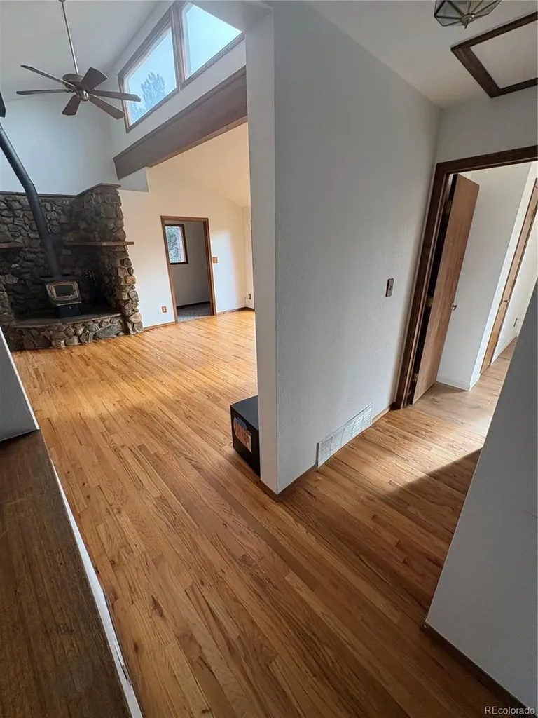 12345 Bear Haven Road Conifer CO 80433
