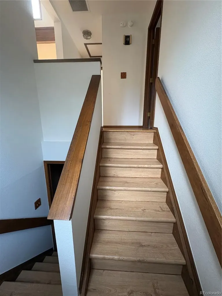12345 Bear Haven Road Conifer CO 80433