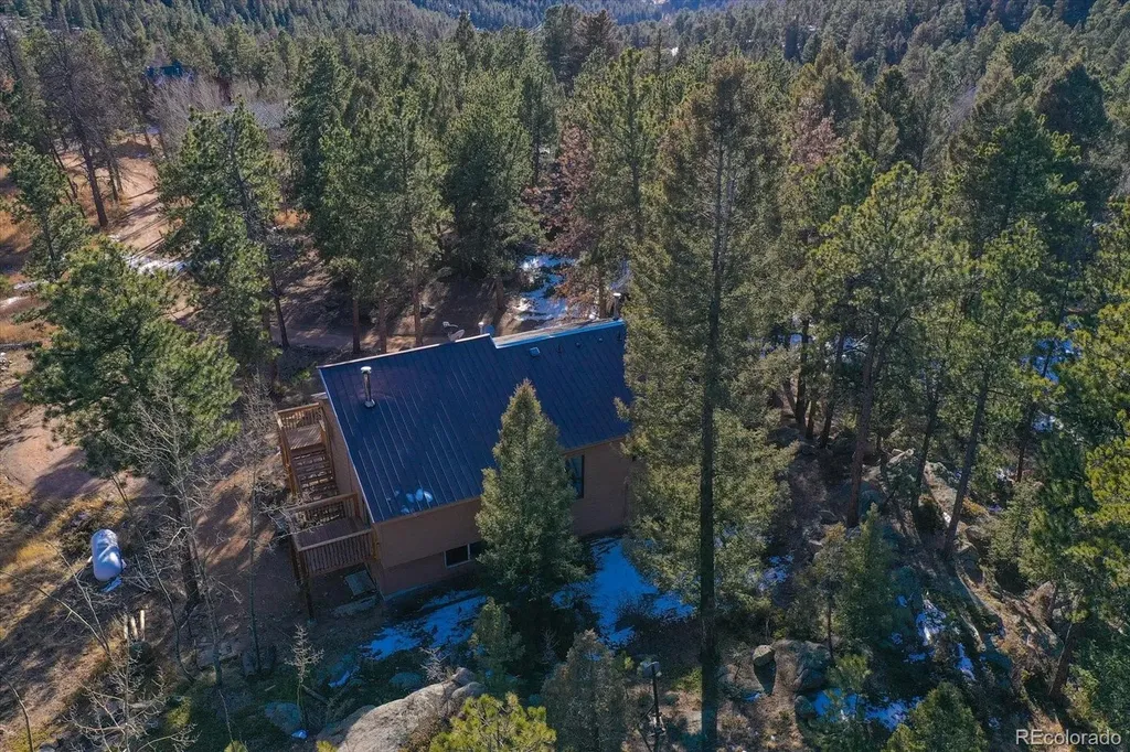 12345 Bear Haven Road Conifer CO 80433