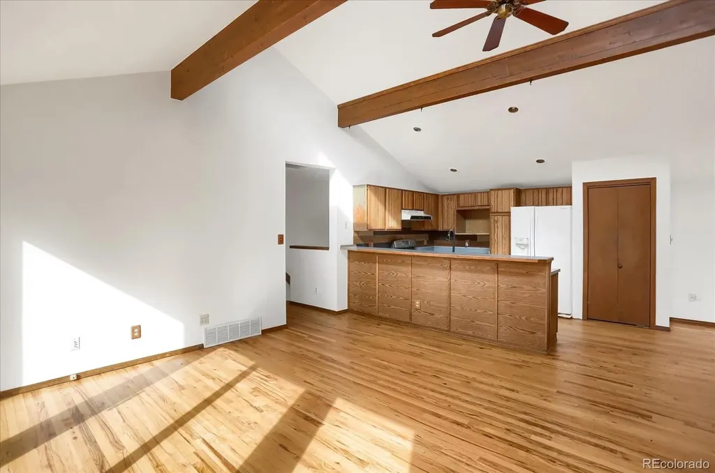 12345 Bear Haven Road Conifer CO 80433