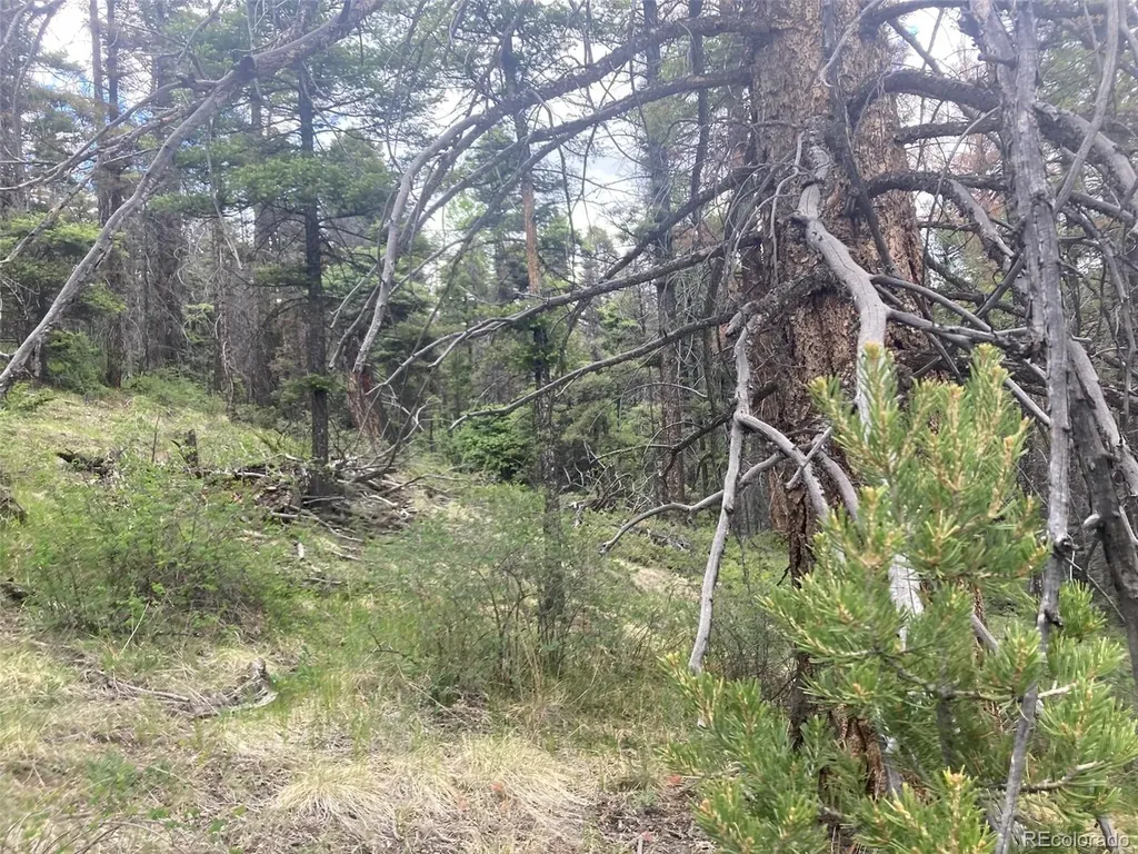 Lot 6328 Jacquez Road San Luis CO 81152