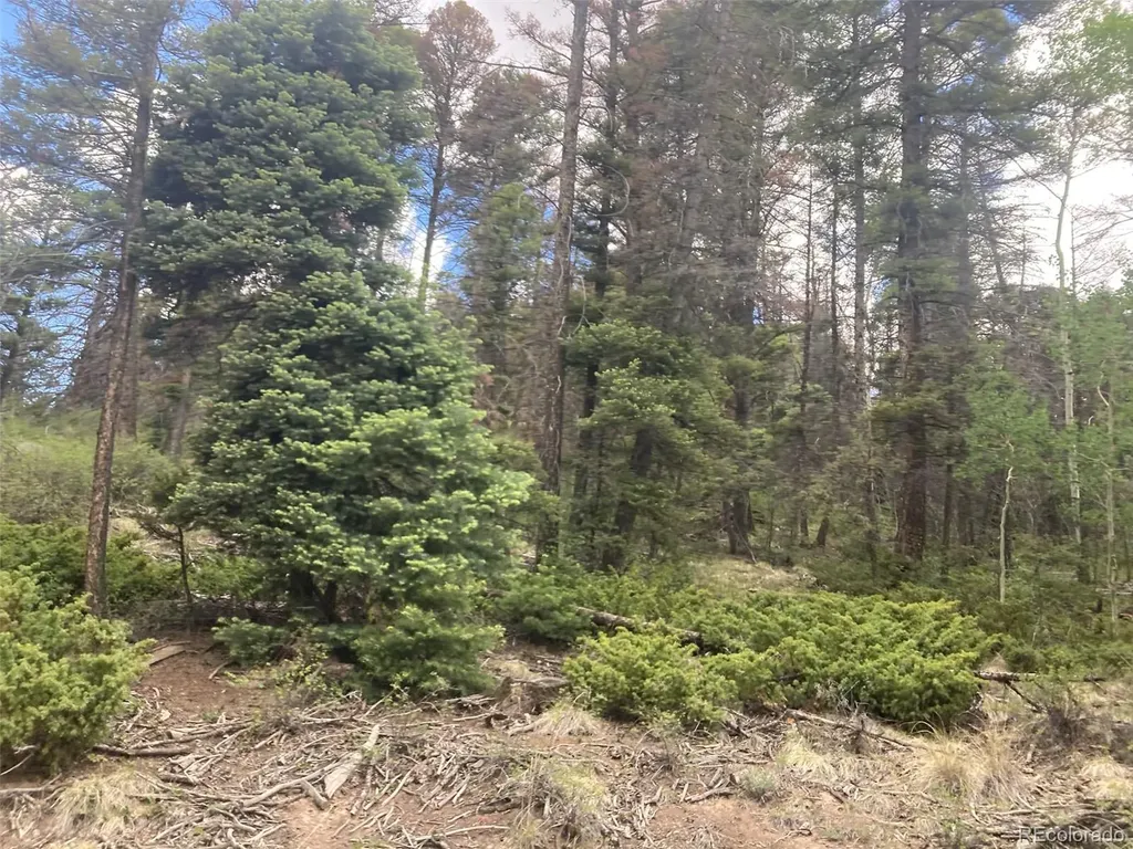 Lot 6328 Jacquez Road San Luis CO 81152