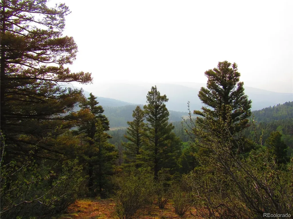 Lot 6328 Jacquez Road San Luis CO 81152