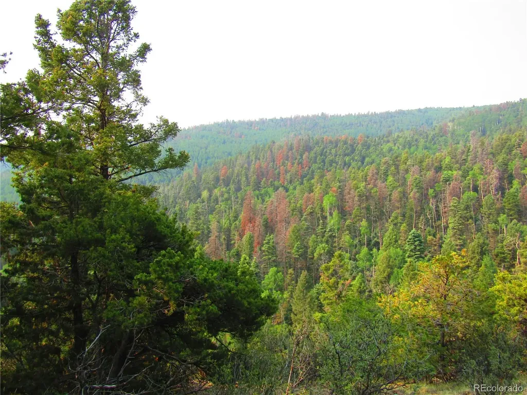 Lot 6328 Jacquez Road San Luis CO 81152
