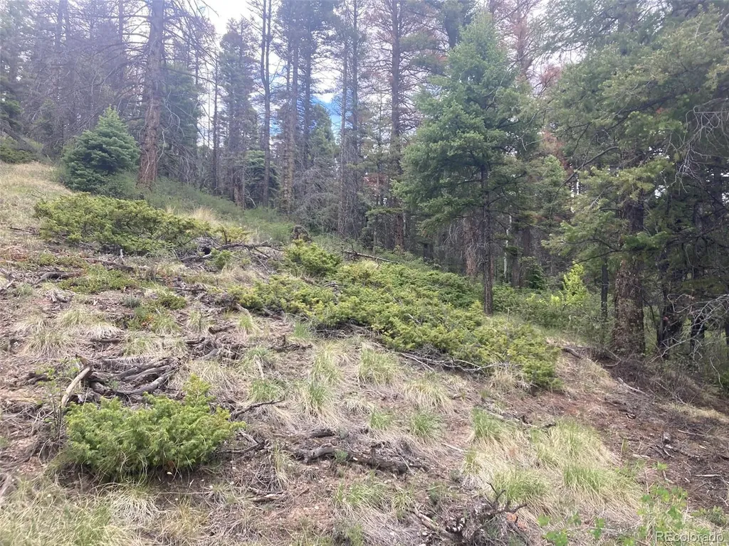 Lot 6328 Jacquez Road San Luis CO 81152