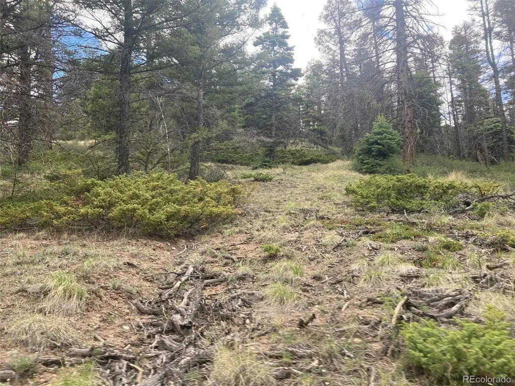 Lot 6328 Jacquez Road San Luis CO 81152