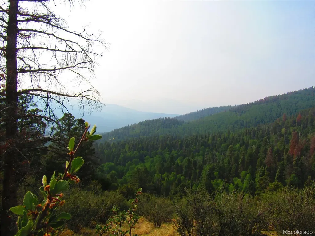 Lot 6328 Jacquez Road San Luis CO 81152