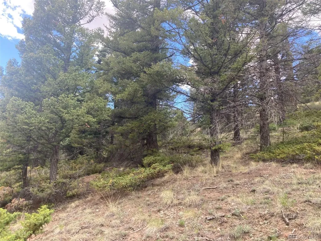 Lot 6328 Jacquez Road San Luis CO 81152