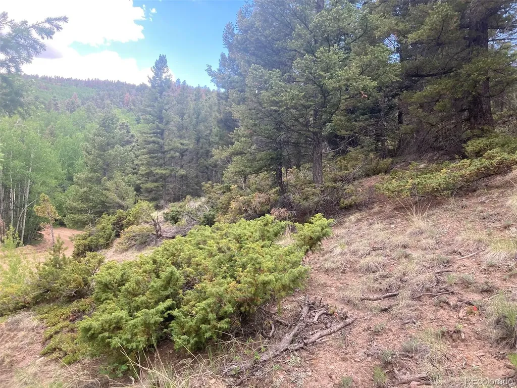 Lot 6328 Jacquez Road San Luis CO 81152