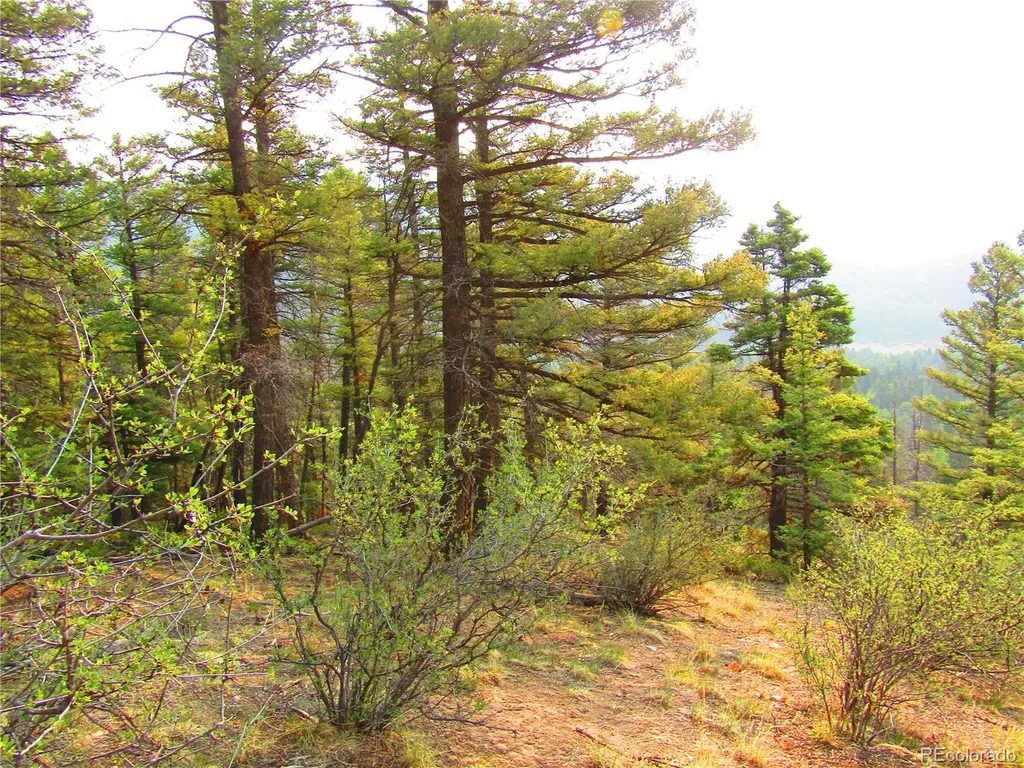Lot 6328 Jacquez Road San Luis CO 81152