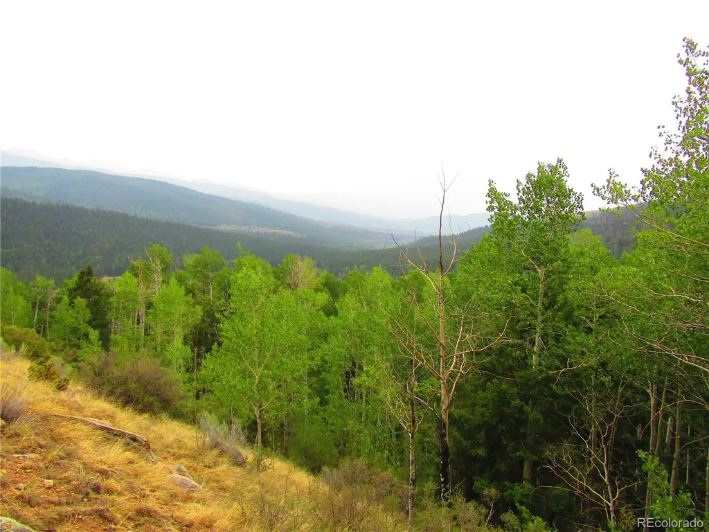 Lot 6328 Jacquez Road San Luis CO 81152