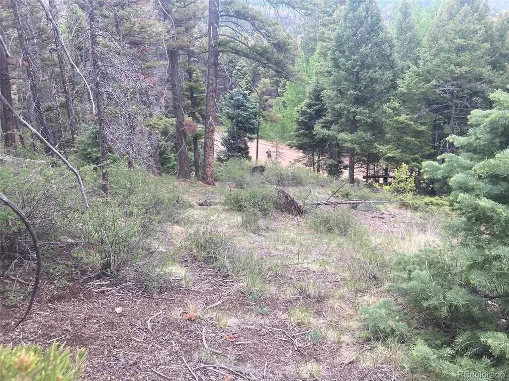 Lot 6328 Jacquez Road San Luis CO 81152