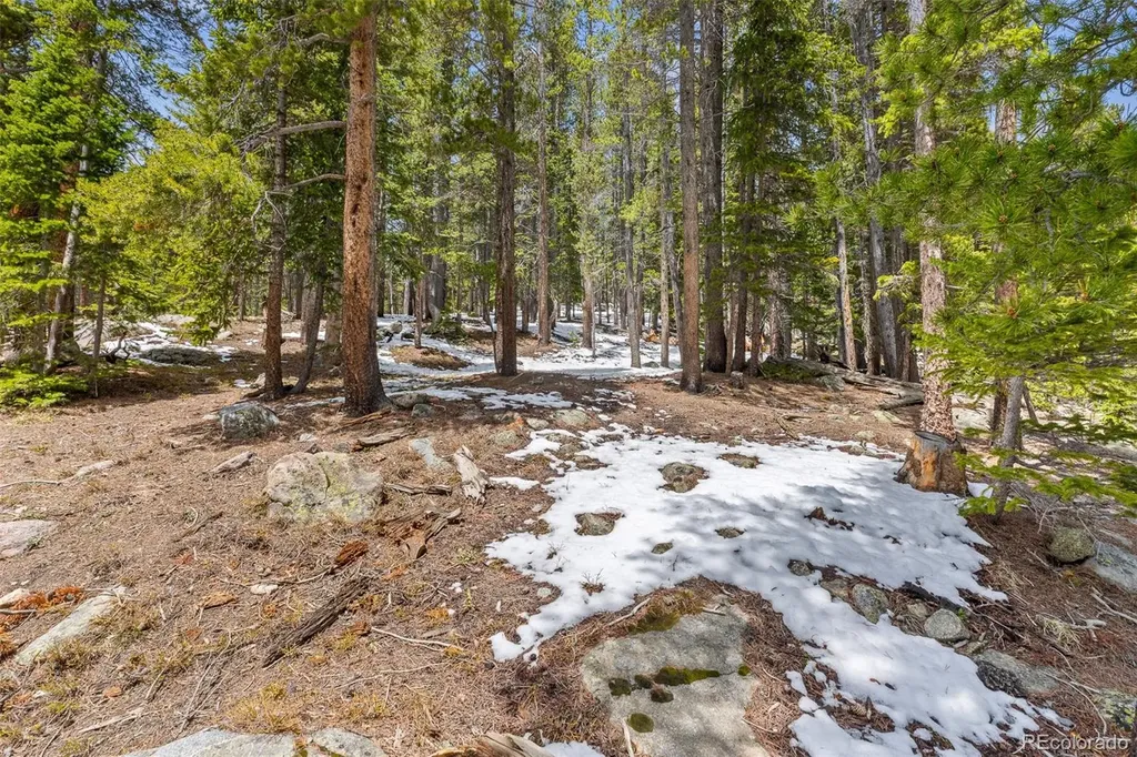 218 Brook Drive Idaho Springs CO 80452