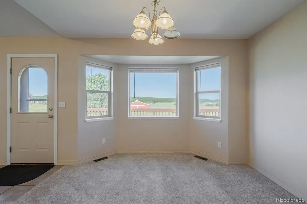 471 Duesouth Road Florissant CO 80816