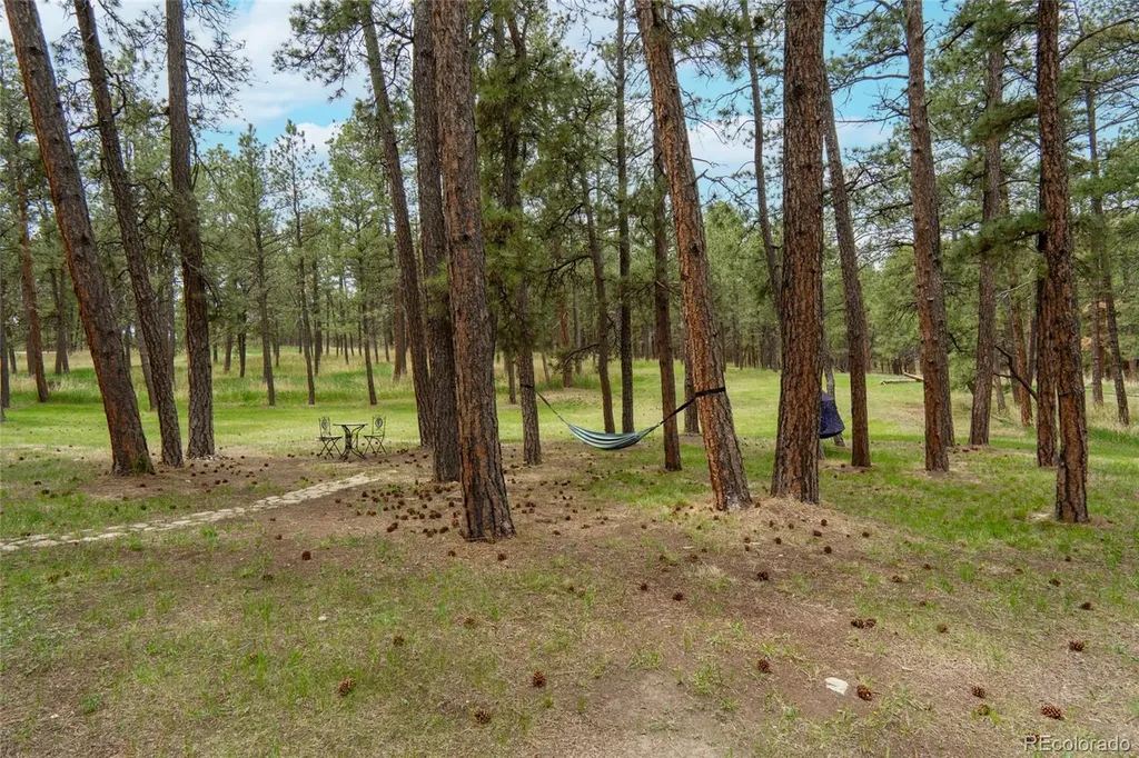 4719 Beaver Ridge Elbert CO 80106