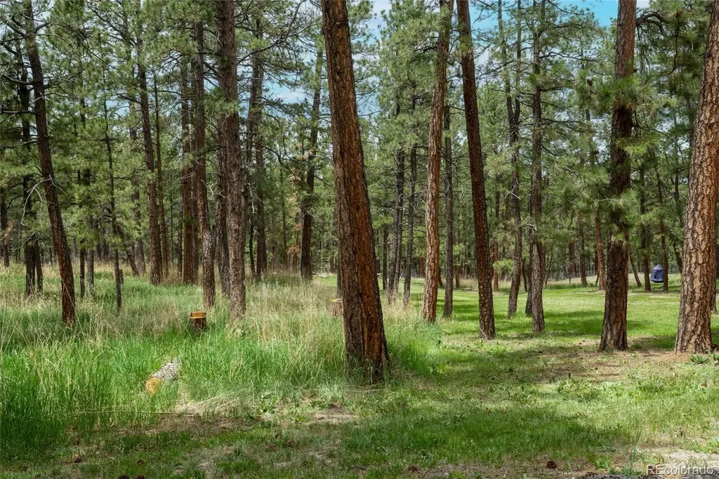 4719 Beaver Ridge Elbert CO 80106
