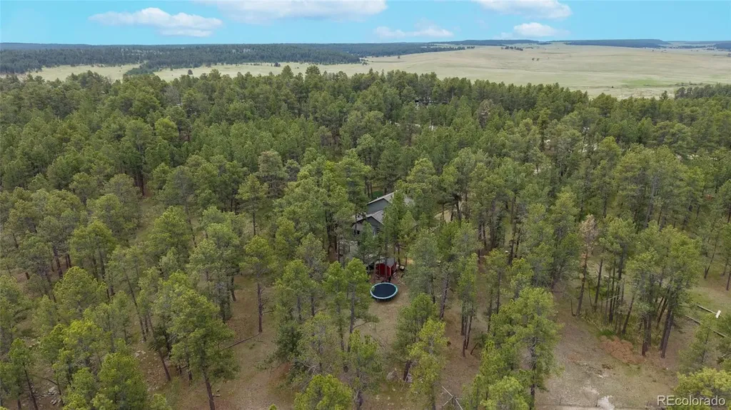 4719 Beaver Ridge Elbert CO 80106