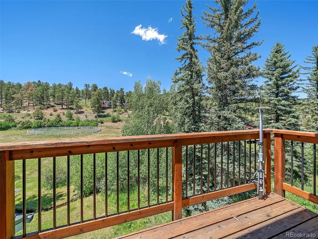 11772 Meadow Drive Conifer CO 80433