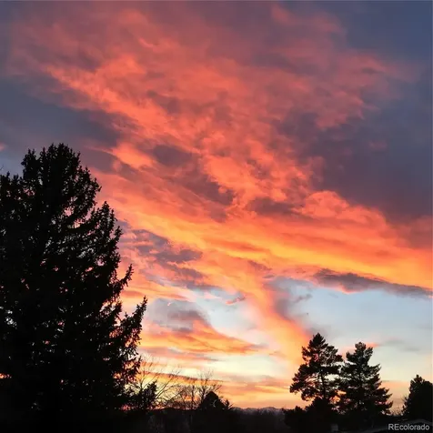 6551 S Albion Way Littleton CO 80121