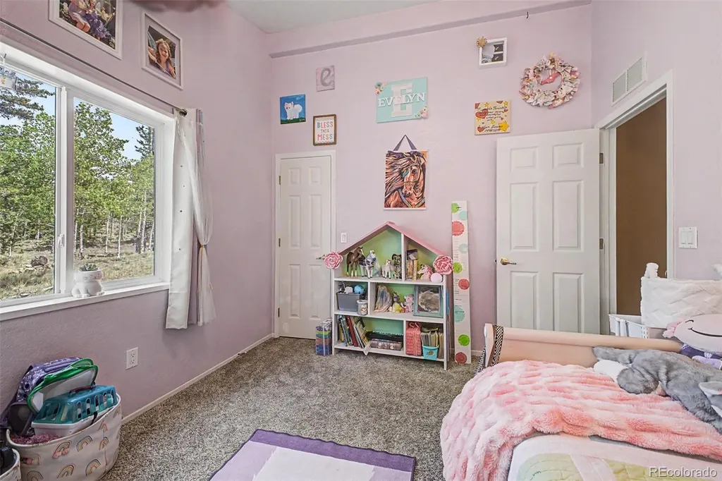 972 Wampum Lane Como CO 80432