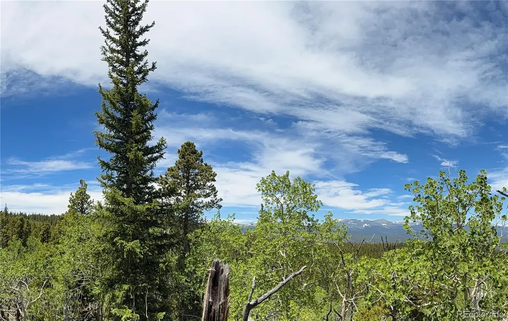 Lot 5 Roosevelt Ridge Black Hawk CO 80422