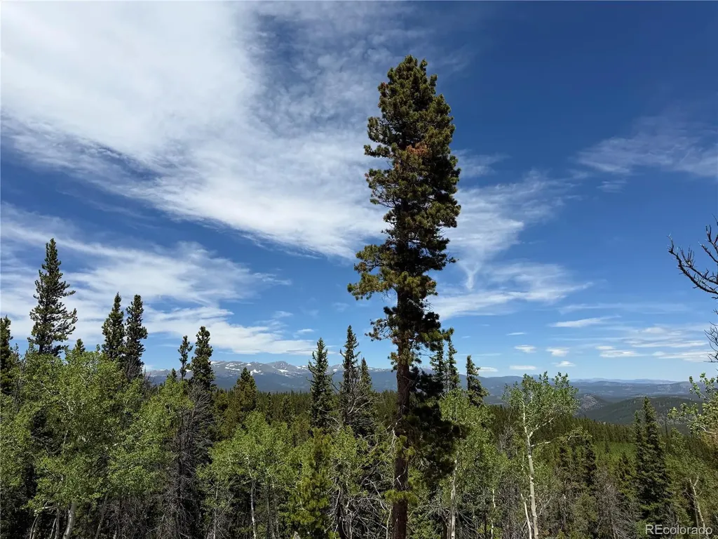 Lot 5 Roosevelt Ridge Black Hawk CO 80422
