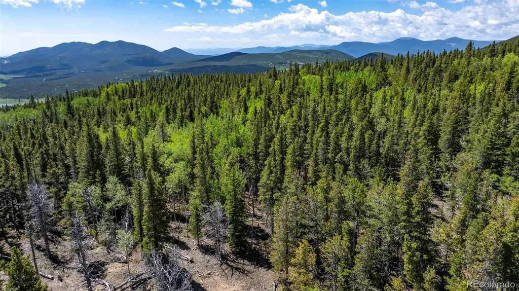 Lot 5 Roosevelt Ridge Black Hawk CO 80422