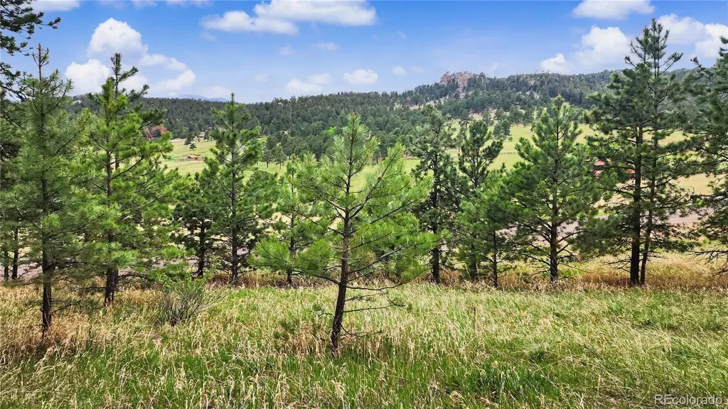 6078 Lone Peak Drive Evergreen CO 80439