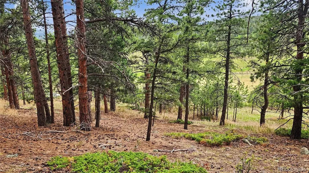 6078 Lone Peak Drive Evergreen CO 80439